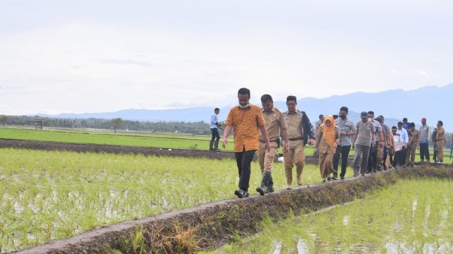 istimewa