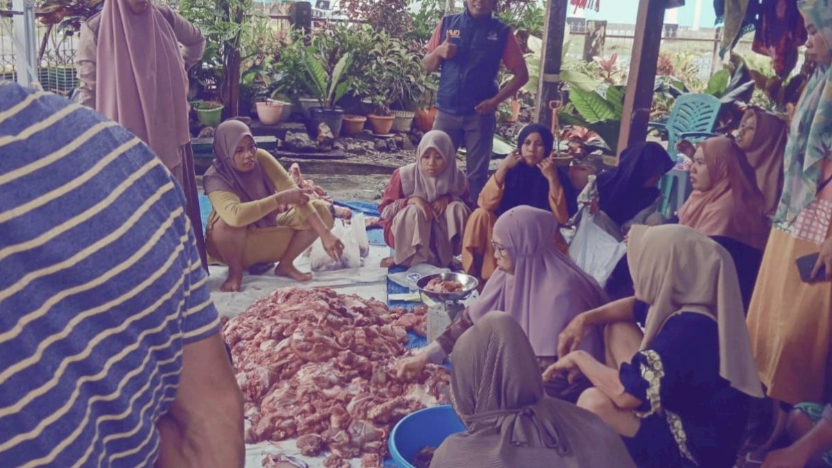 Muhammad Kurban Tiga Ekor Sapi di Kabupaten Bone