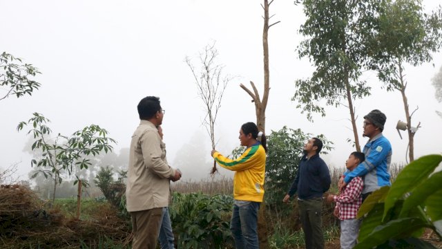 KALLA melalui program CSR tahun ini menargetkan tanam 20 ribu bibit pohon pada lima desa di kecamatan Tombolo Pao Kabupaten Gowa / dokumen: Kalla Group.