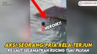 VIDEO: Aksi Seorang Pria RelaTerjun ke Laut Selamatkan Kucing Tuai Pujian