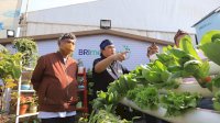 BRI Menanam, Upaya Berkelanjutan BRI Perkuat Penerapan Prinsip ESG
