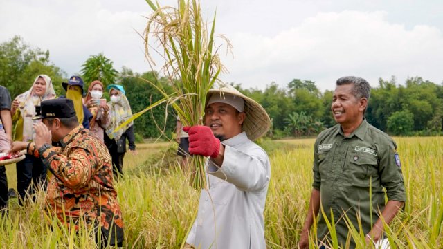 istimewa