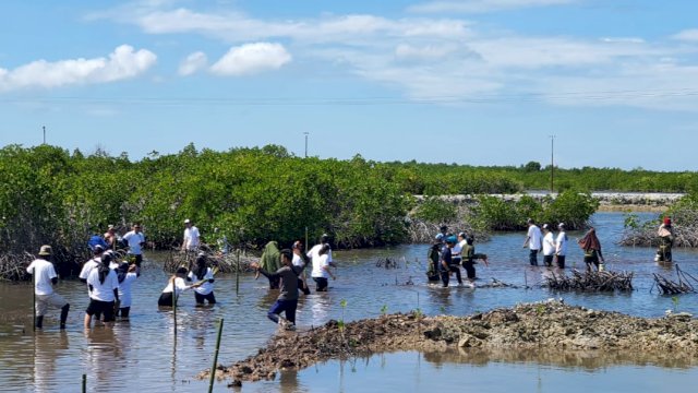 Amartha melakukan penanaman 4.000 bibit pohon mangrove di Pesisir Pulau Tanakeke (dokumen: ist)