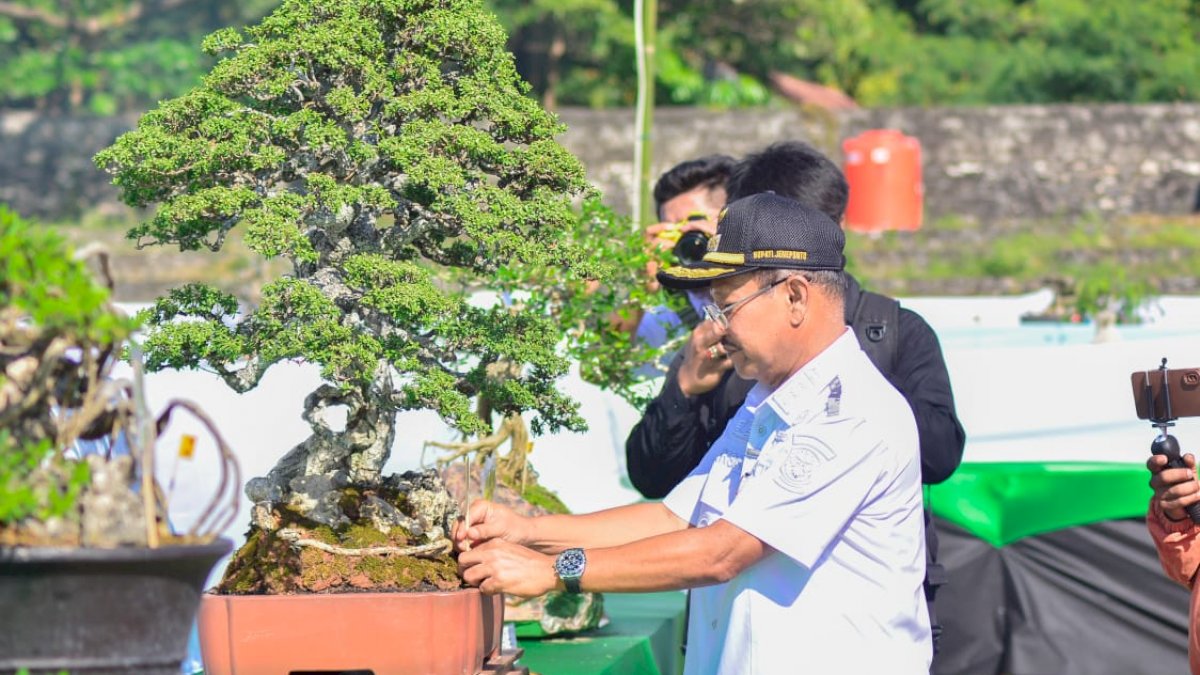 Buka event Kontes Bonsai, Bupati Jeneponto : Ini Sumber Pendapatan
