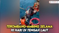 VIDEO: Detik-detik Evakuasi Nelayan Asal Gowa yang Mengampung 10 Hari di Tengah Laut