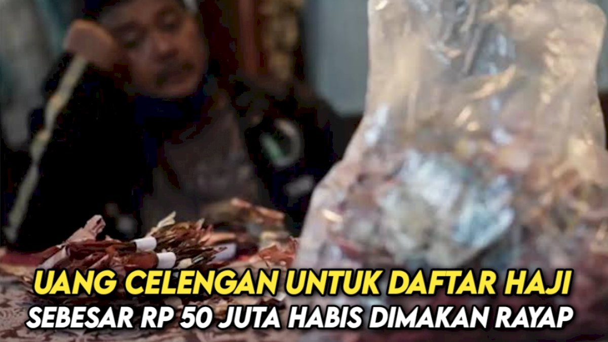 VIDEO: Uang Celengan untuk Daftar Haji Sebesar Rp 50 Juta Habis Dimakan Rayap 