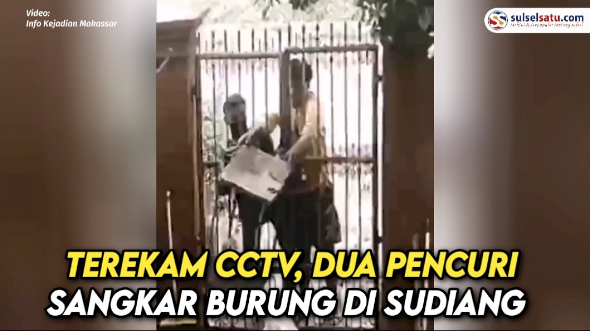 VIDEO:  Terekam CCTV, Dua Pencuri Sangkar Burung di Sudiang Makassar