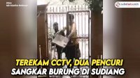 VIDEO: Terekam CCTV, Dua Pencuri Sangkar Burung di Sudiang Makassar