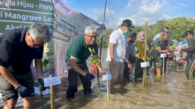 KALLA menanam bibit pohon mangrove di Kepiting Tambak Desa Tekolabbua, Kecamatan Pangkaje'ne, Pangkep (Muhammad Junaedi / Sulselsatu.com)