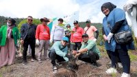 PT Vale Serahkan 200 Bibit Pohon Tembeuwa Bentuk Dukungan Konservasi Pesisir Danau Towuti