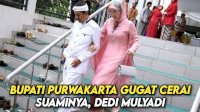 VIDEO: Gugat Cerai Dedi Mulyadi, Video Bupati Purwakarta Nyanyikan ‘Pergilah Kasih’ Viral