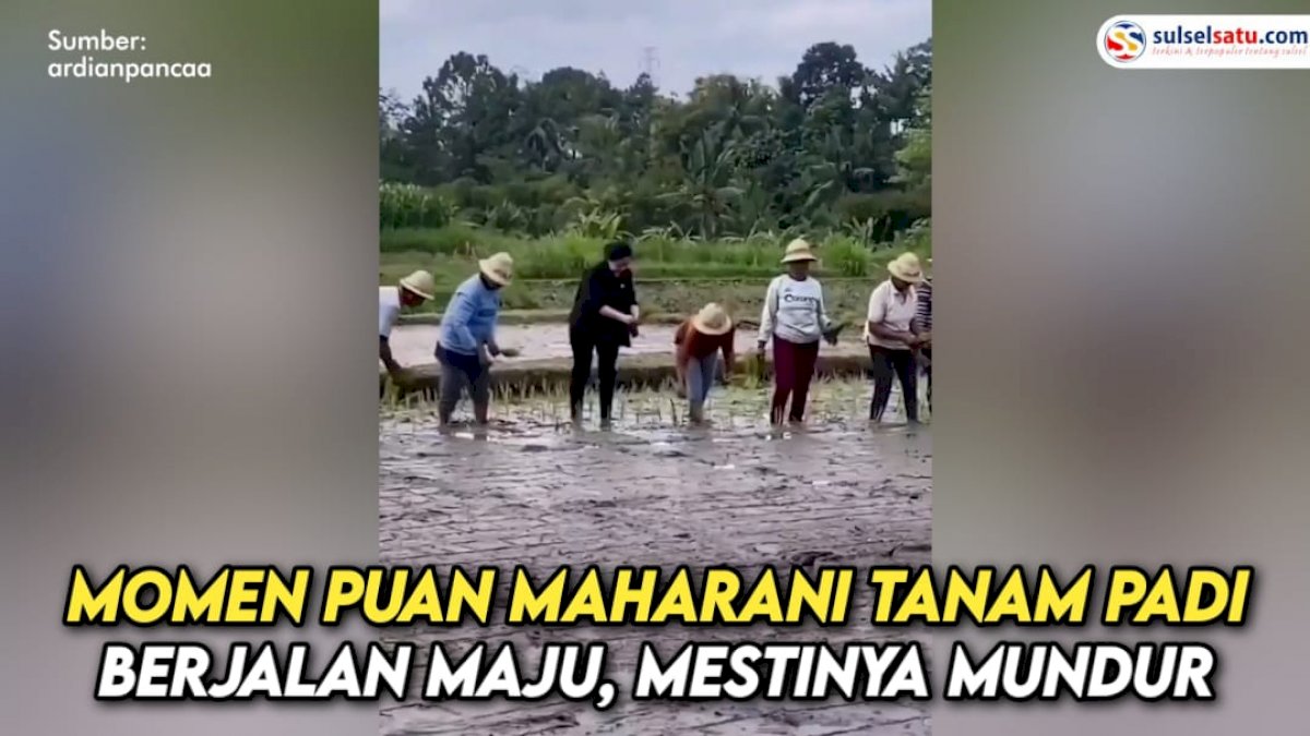 VIDEO:  Aksi Puan Maharani Tanam Padi Berjalan Maju, Netizen: Mestinya Mundur