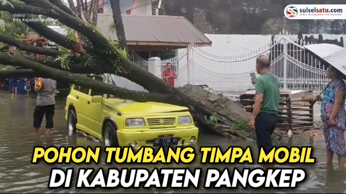 VIDEO: Pohon Tumbang Timpa Mobil di Kabupaten Pangkep
