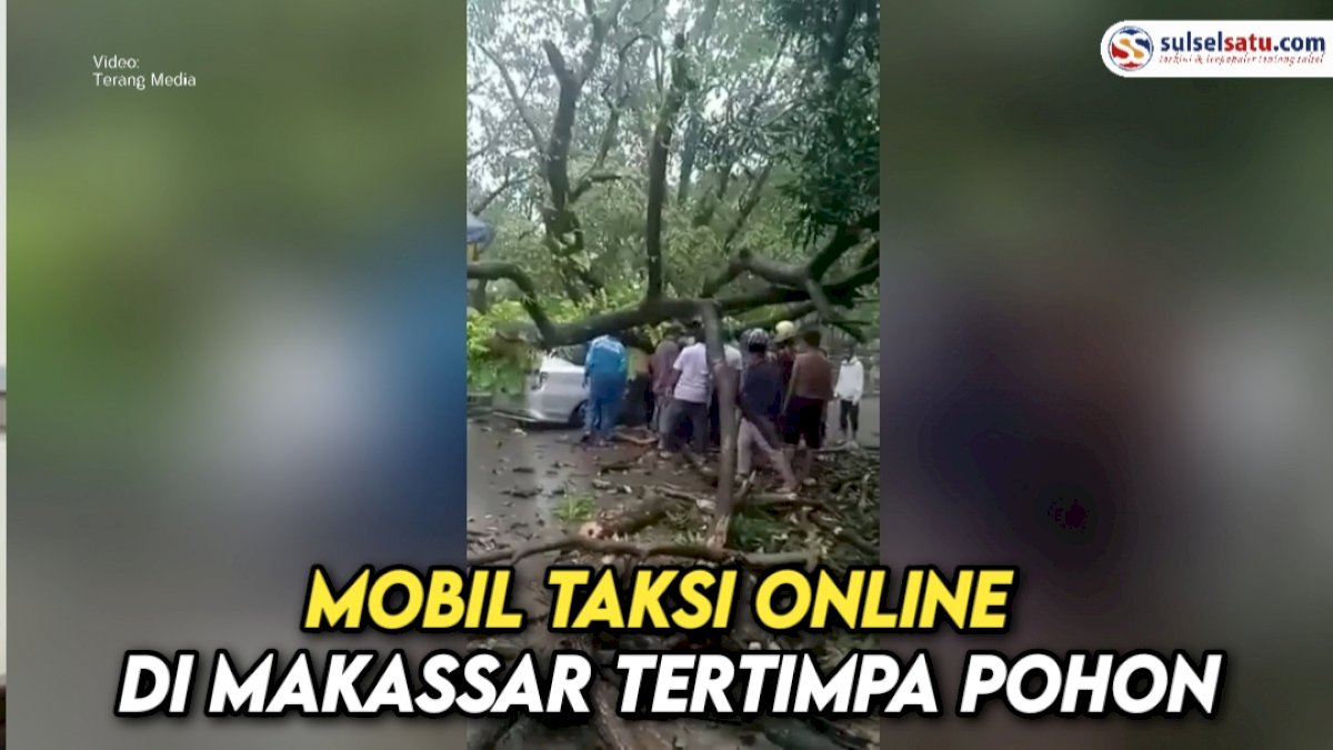 VIDEO: Mobil Taksi Online di Makassar Tertimpa Pohon