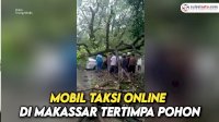 VIDEO: Mobil Taksi Online di Makassar Tertimpa Pohon