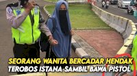 VIDEO: Seorang Wanita Bercadar Hendak Terobos Istana Sambil Bawa Pistol