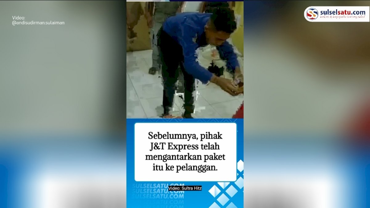 VIDEO: Ditolak Pemesan, King Kobra Keluar dari Bungkus Paket di Kantor Ekspedisi Baubau
