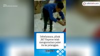 VIDEO: Ditolak Pemesan, King Kobra Keluar dari Bungkus Paket di Kantor Ekspedisi Baubau