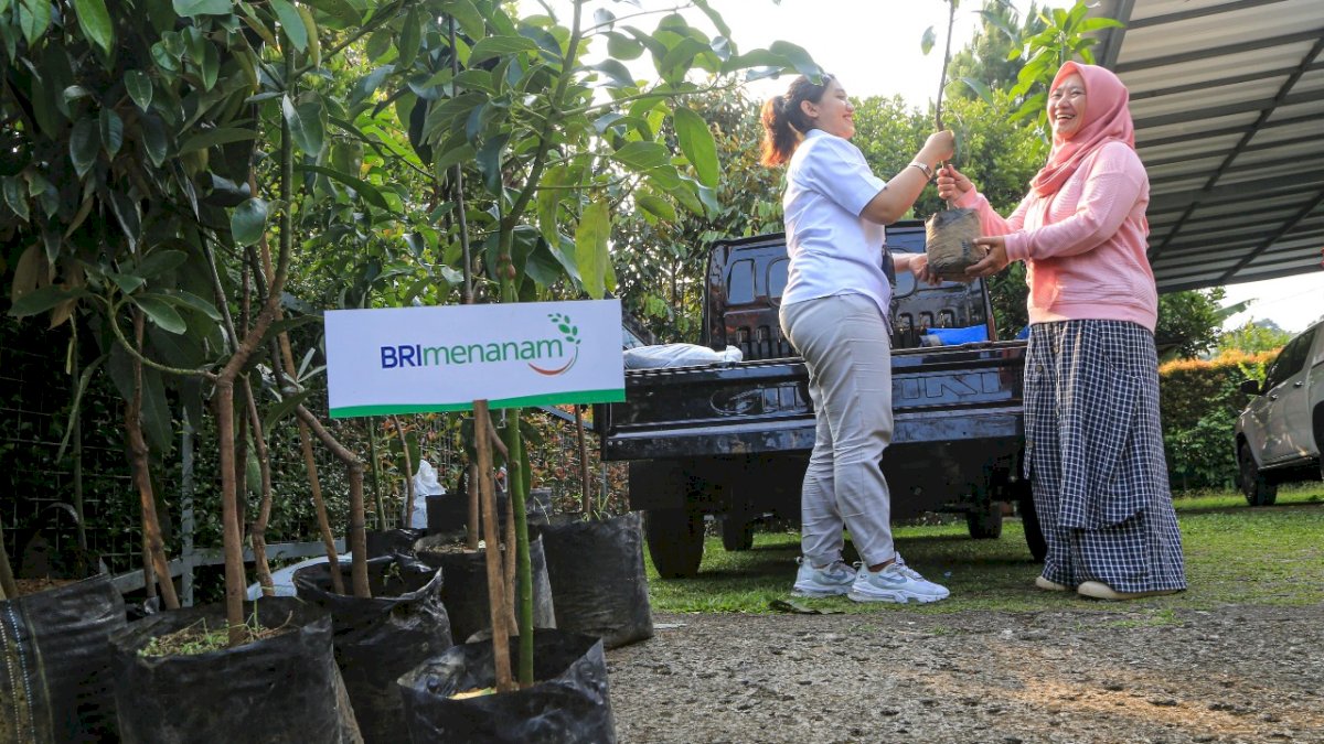 Dukung Net Zero Emission, BRI Menanam Proyeksikan Kontribusi Penurunan Emisi Karbon Hingga 23 Persen di 2025