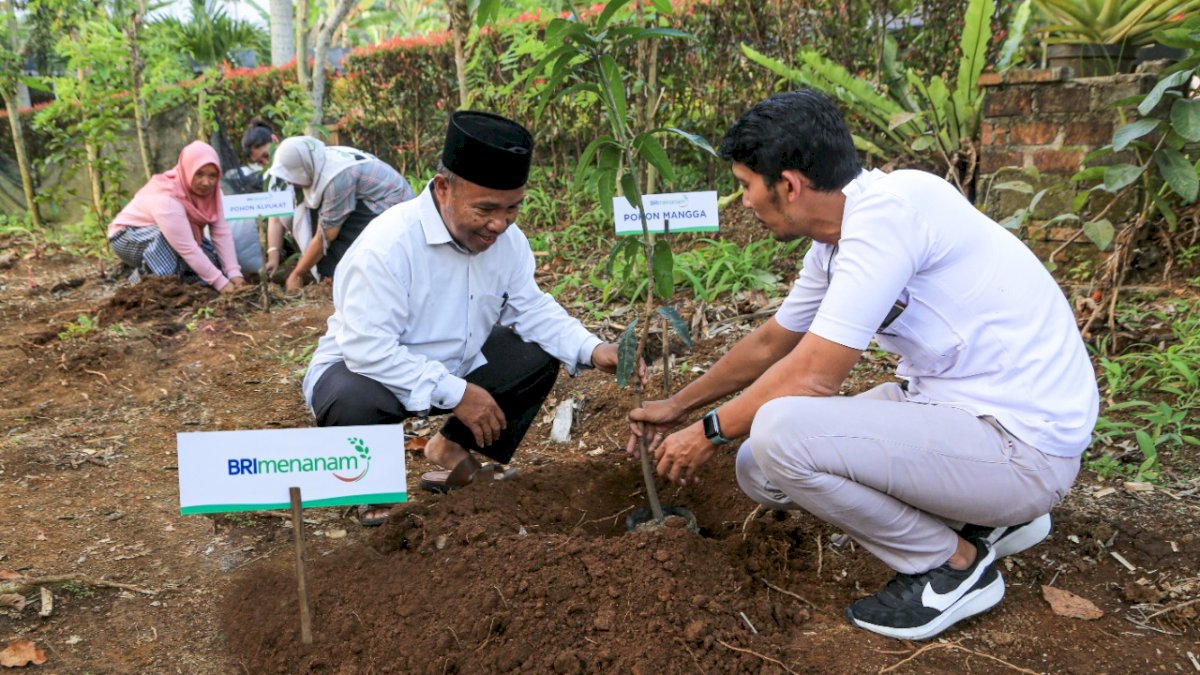 Dukung Pengurangan Emisi, Program BRI Menanam Proyeksikan Penyerapan Karbon Hingga 108 Ribu Ton CO2