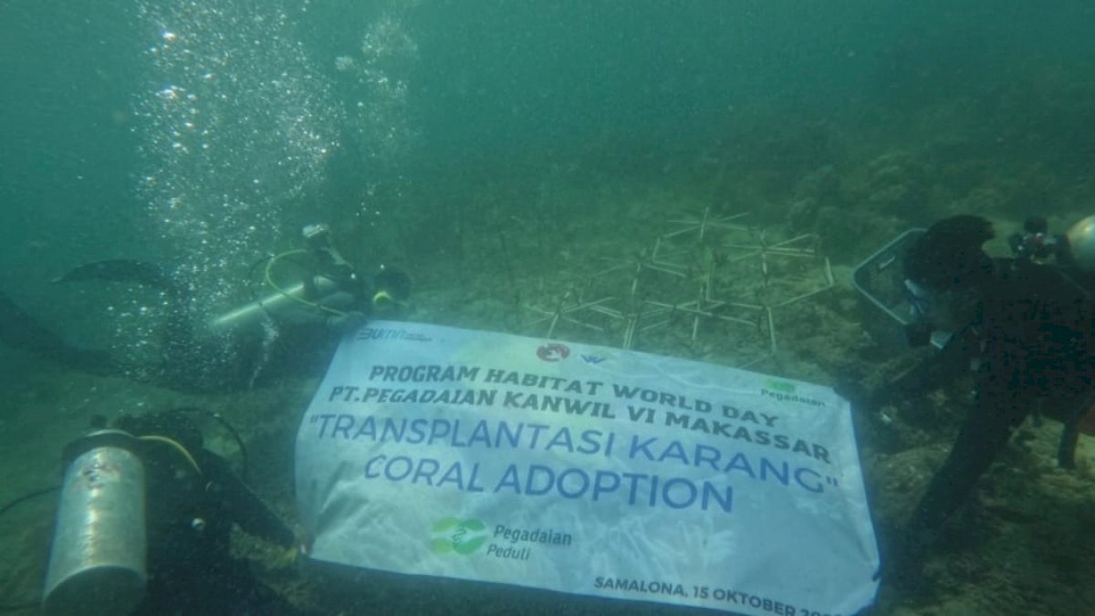 Pegadaian Kanwil Makassar Beri Bantunan Transplantasi dan Adopsi Terumbu Karang di Pulau Samalona