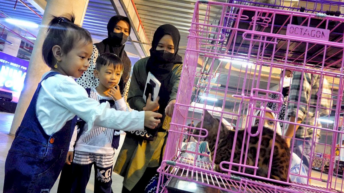 Animal Zone di NIPAH PARK, Pameran Komunitas Pecinta Hewan Peliharaan