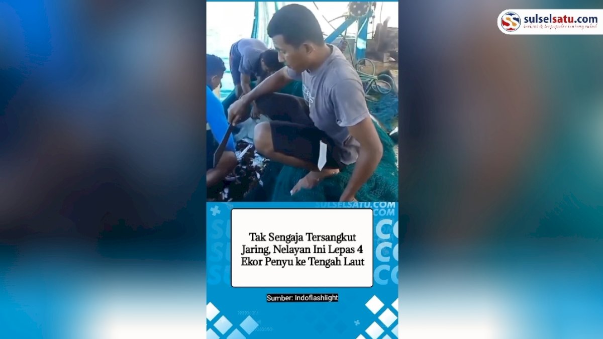 VIDEO: Tak Sengaja Tersangkut Jaring, Nelayan Ini Lepas 4 Ekor Penyu ke Tengah Laut