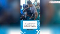 VIDEO: Tak Sengaja Tersangkut Jaring, Nelayan Ini Lepas 4 Ekor Penyu ke Tengah Laut