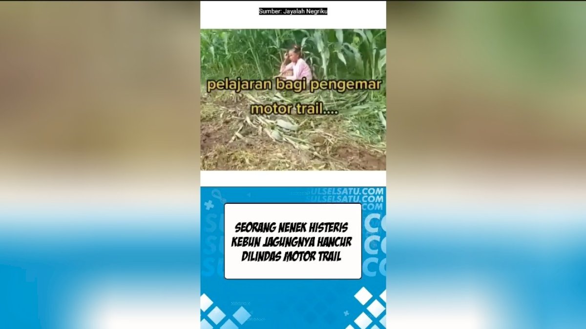 VIDEO: Seorang Nenek Histeris Kebun Jagungnya Hancur Dilindas Motor Trail