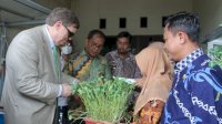 Camat Tallo Dampingi Wali kota Danny Saat Berkunjung di Longwis Taegu