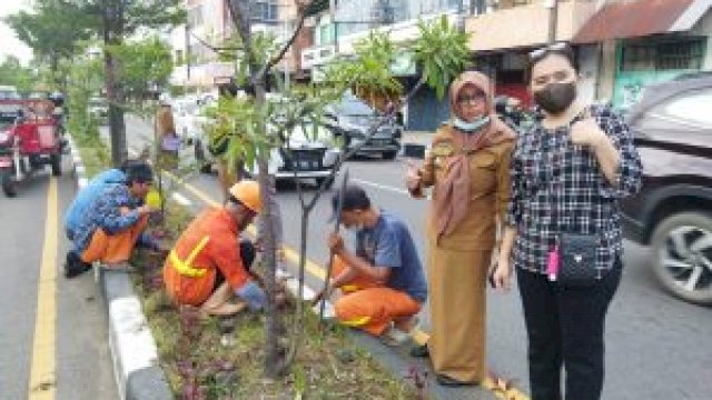 Camat Wajo memantau langsung penanaman tanaman di taman tepian jalan (dokumen: istimewa)