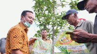 Akhir 2022 Produksi Padi Sulsel Naik Drastis, Ini Kuncinya