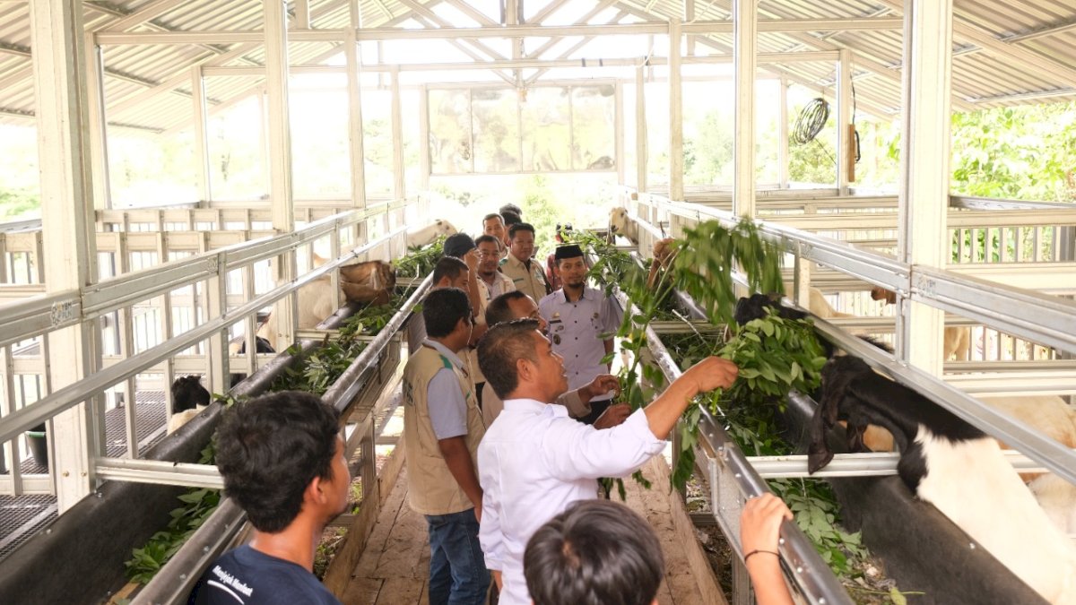 Bantu Ekonomi Masyarakat, YBM PLN UID Sulselrabar Resmikan Peternakan Kambing Pammanjengan Ri Boritta di Kabupaten Gowa