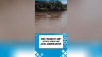 VIDEO: Mobil Pengangkut Sawit Jatuh ke Sungai saat Lintasi Jembatan