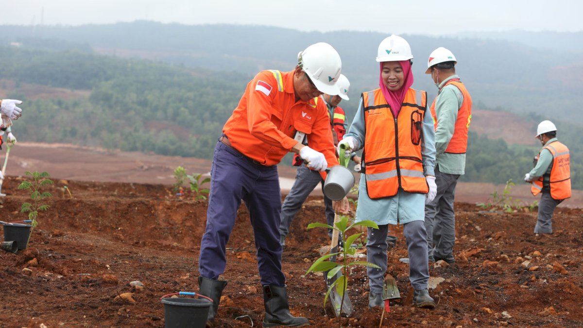 PT Vale Wujudkan Komitmen Peduli Lingkungan Lewat Tanam Pohon