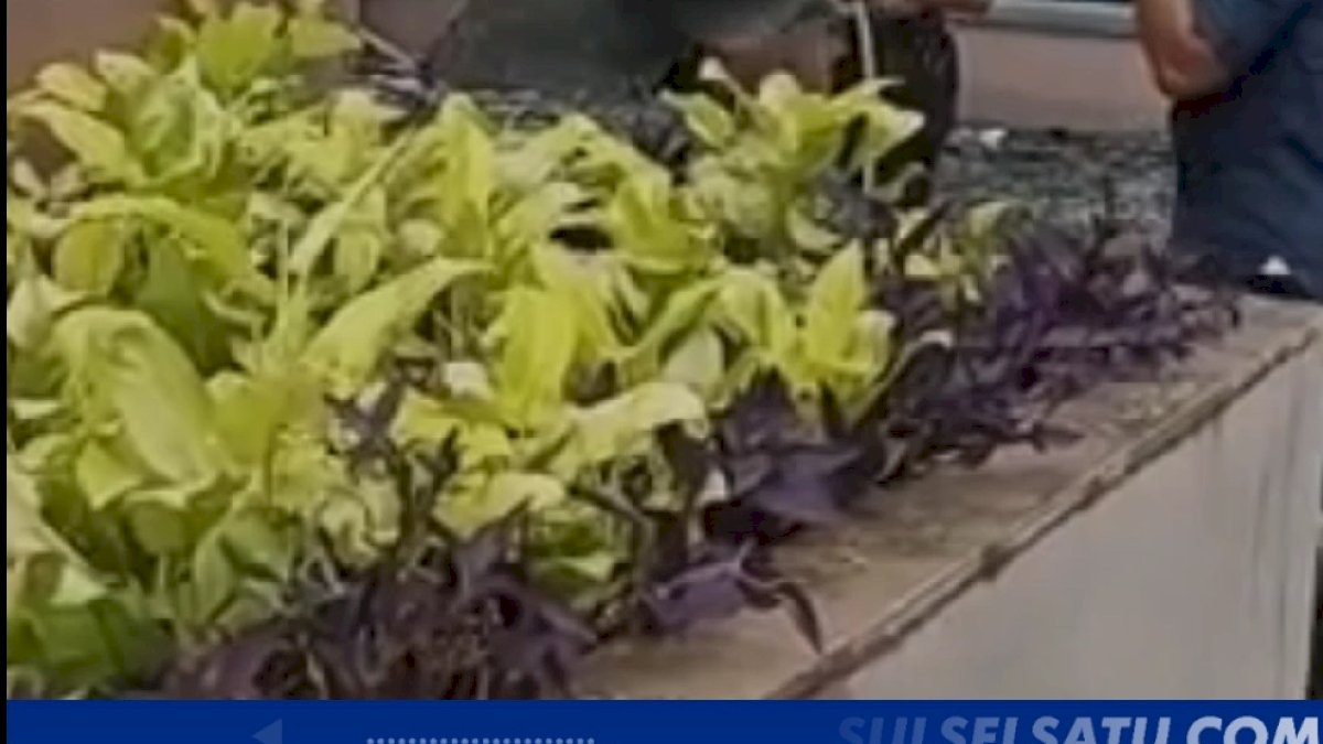 VIDEO:  Diduga Akibat Korsleting Listrik, Gedung Kemenkumham Terbakar