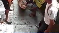 VIDEO: Warga Mamuju Tangkap Buaya di Lokasi Hilangnya Remaja yang Diterkam Buaya