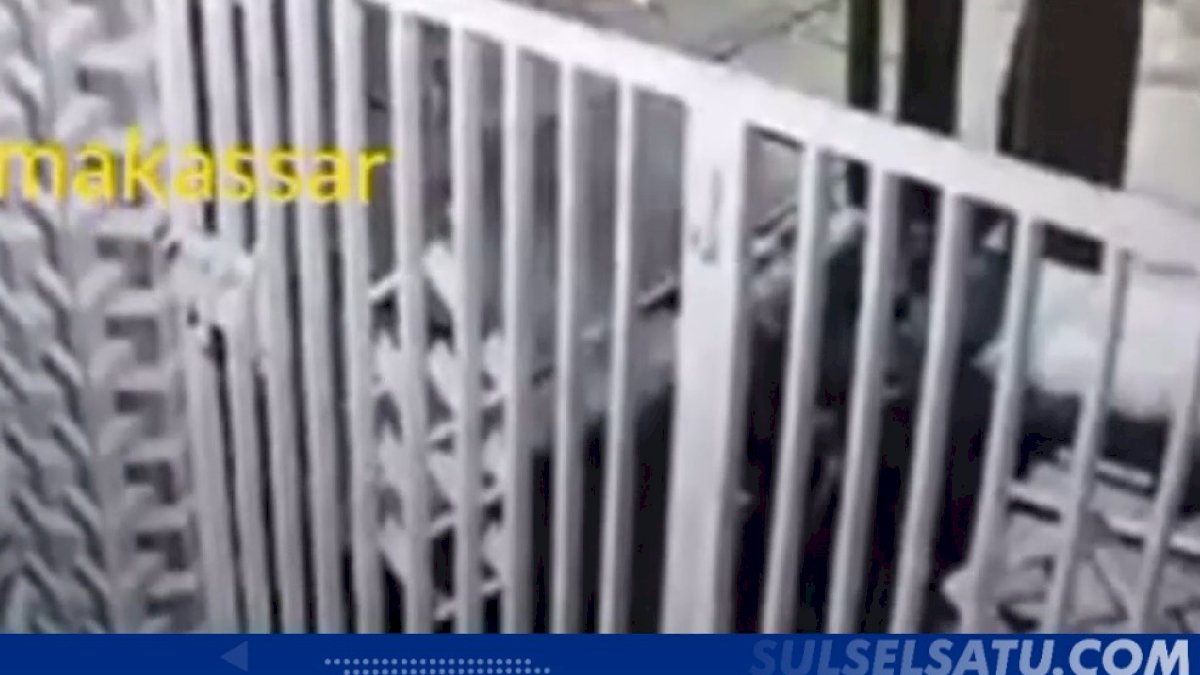 VIDEO: Hendak Mencuri Kambing, Pelaku Kabur Tinggalkan Motor saat Ketahuan Warga