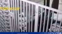 VIDEO: Hendak Mencuri Kambing, Pelaku Kabur Tinggalkan Motor saat Ketahuan Warga