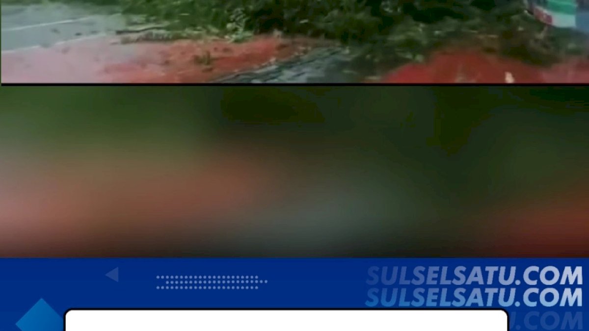 VIDEO: Hujan Deras Disertai Angin Kencang, Pohon Tumbang di Samping Gedung IMMIM