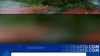 VIDEO: Hujan Deras Disertai Angin Kencang, Pohon Tumbang di Samping Gedung IMMIM
