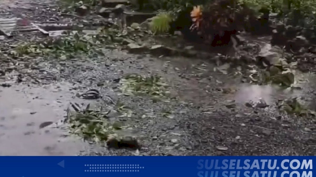 VIDEO: Pohon Tumbang Depan SMP 1 Patampanua, Akses Pinrang-Polman Sempat Terputus