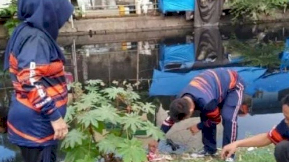 Dinas PPKB Makassar Gelar Bersih-bersih Kanal