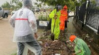 Sigap! Camat Tamalate Tindak Lanjuti Laporan Warga