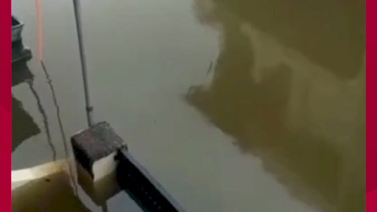 VIDEO: Banjir di Kelurahan Manggala Makin Meninggi