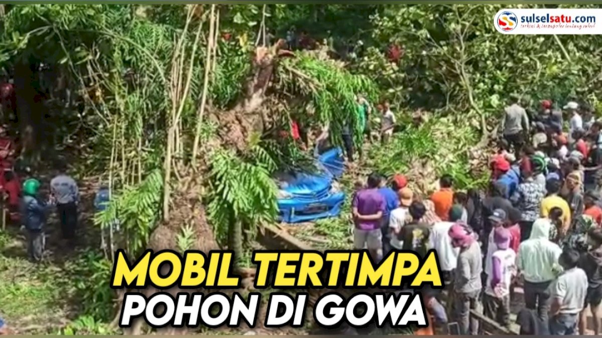 VIDEO: Mobil Tertimpa Pohon Tumbang di Gowa