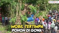 VIDEO: Mobil Tertimpa Pohon Tumbang di Gowa