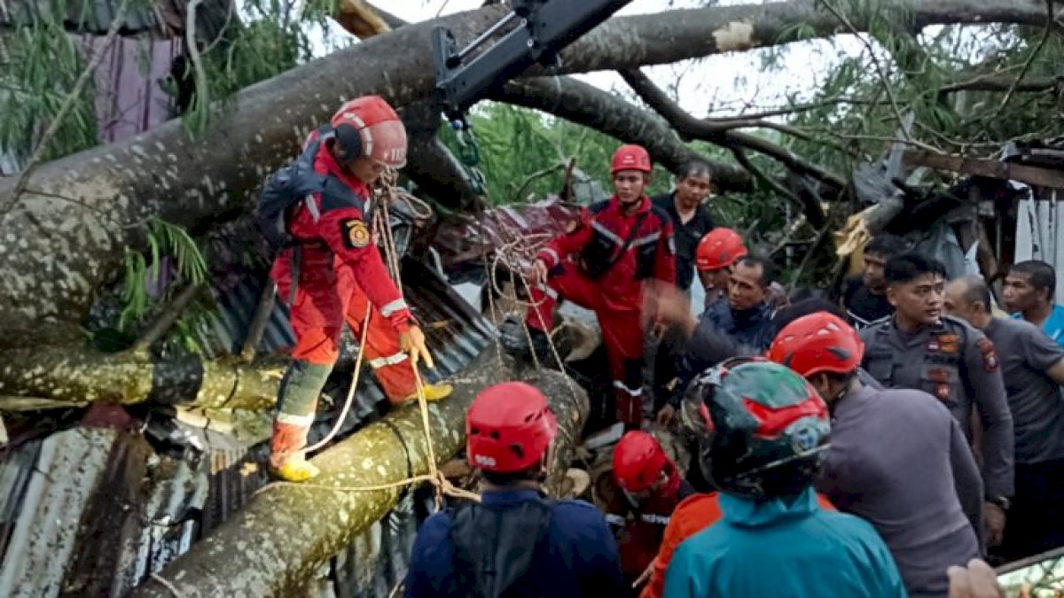 Akibat Angin Puting Beliung dan Pohon Tumbang, BPBD Makassar Mencatat 77 Bangunan Rusak