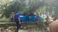 Mobil Tertimpa Pohon di Gowa, Pengemudi Ditemukan Tewas