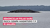 VIDEO: Kemunculan Pulau Baru Pasca Gempa Magnitudo 7.9 di Maluku